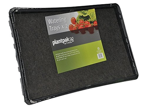 Preisvergleich Produktbild Plantpak ppk70200061 Samen und zimmergewächshäusern