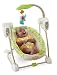 Fisher-Price Space Saver Swing and Seat, Rainforest