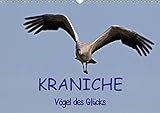 Kraniche - Vögel des Glücks (Wandkalender 2020 DIN A3 quer) by 