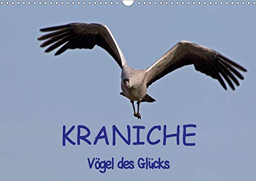 Kraniche - Vögel des Glücks (Wandkalender 2020 DIN A3 quer)