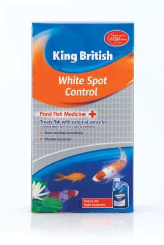 King British Rey británico Blanco Spot Control