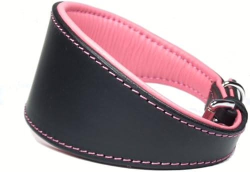 Ace Traditional Leather Dog Collar lined with Lamb's Leather: 22" Collar- Will Fit 16.5" to 19.5"