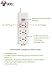 Bull Extension Board | Sockets: 3 Three-Pin and 3 Two-Pin | Wire Length: 3 meter | Switches: 1 Master | Indicator LED: Yes | International Sockets: Yes RS.549.00