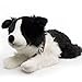 Produktbild Kuscheltiere.biz Border Collie Cooper Australian Sheppherd mit Geschirr Schlenkerhund 65 cm Plüschtier