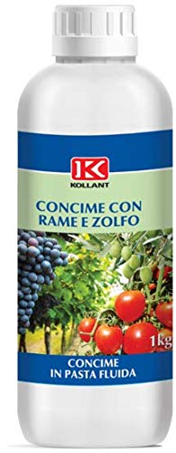 KOLLANT lt 1 concime FUNGICIDA in Pasta fluida microelementi Rame E ZOLFO E Boro