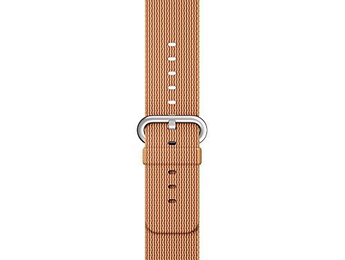 Preisvergleich Produktbild APPLE 38mm Gold / Red Nylon Band