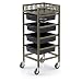 Produktbild DANTB 5 Tiers Salon Matte Textur Friseur Trolley Friseur Schönheit Make-Up Ablagefach Lockenwickler Mit 4 Gold Schubladen Hohe Qualität