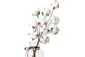 FINEVERNEK 10 Fiori di Cotone Secco Naturale +5 Teste Decorative - Kit Creativo per Decorazione Casa/Balcone | Piante Finte Secche per Tavolo Composizione Floreale, Décoro Ecologico