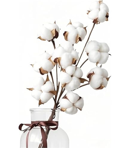 Bouquet D’Amaranthus Séchés Blanc - 60-80 Cm - Fleurs Suspendues Naturelles Pour Déco Mariage, Maison - 8
