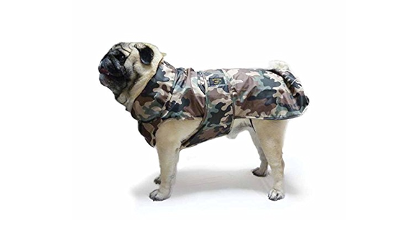 pug dog jackets