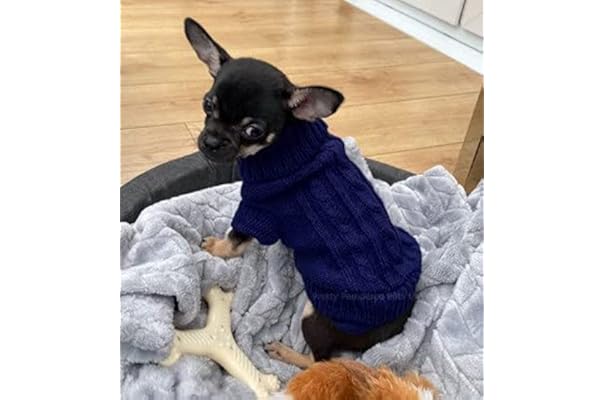 dog tracksuits uk