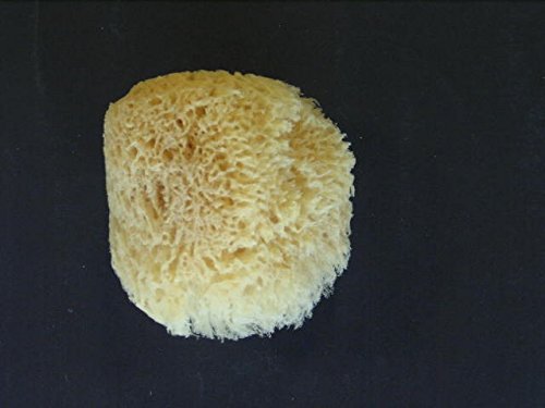 ESPONJA ACTIBEL TOUCH FIBRA VEGETAL