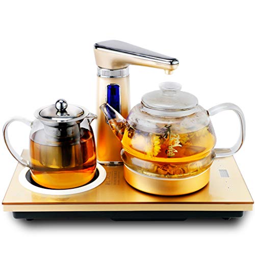 bouilloire lectrique Automatique Intelligente en Verre Plateau de th cuit la Vapeur Contrle d'arrt Automatique et Protection Contre la surchauffe Strix Convient aux Bureaux et Autres lieux