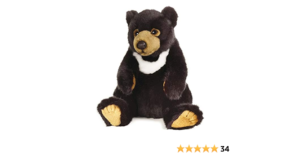National Geographic Ours Noir D Asie Amazon Fr Jeux Et Jouets