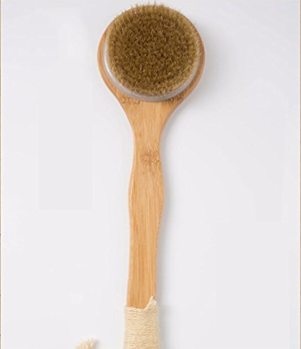 Preisvergleich Produktbild Badebürsten Krperbürste Rückenbürste Duschbürste Abnehmbar Schweine Mähne Langgriffige Bürsten Mit Langem Griff Für Dusche / Bad Perfekt Für Die Verbesserung Der Blutzirkulation / Eliminating Müdigkei Jmung