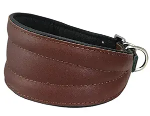 Dogs My Love Real Leather Extra Wide Padded Tapered Dog Collar (16.25