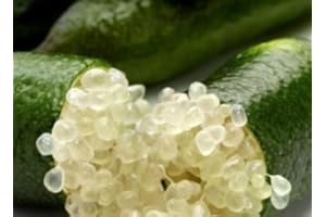 GENERICO Finger Lime 100 gr, Caviale di Limone, Frutto Esotico, Ideale per Primi e Secondi Piatti, Dessert, Cocktails