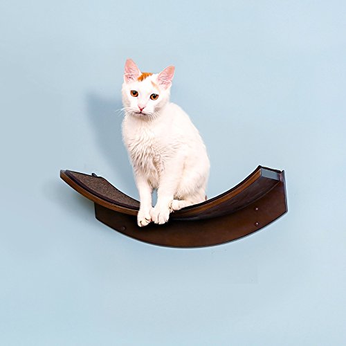 Le-raffin-Feline-Feuille-de-Lotus-Cat-tagre-Acajou