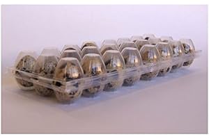 RINTALEN Hueveras codorniz 100 unidades