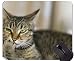 Produktbild Mauspad mit genähtem Rand, Makrokatze Home Office Computerzubehör Mousepads