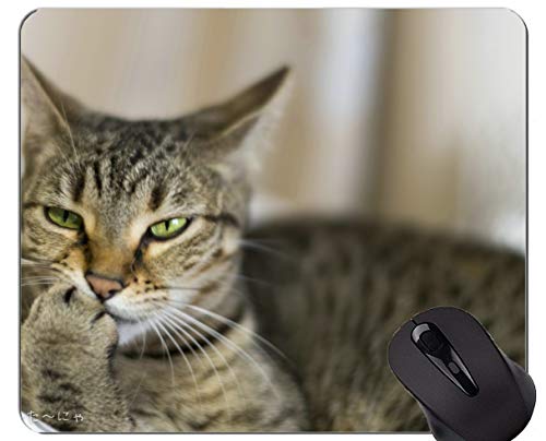 Preisvergleich Produktbild Mauspad mit genähtem Rand, Makrokatze Home Office Computerzubehör Mousepads