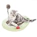 Produktbild PETCUTE Katzespielzeug interaktives kratzbaum Katzen Spielzeugs mit Kugeln und Verkratzenbrett verkratzt
