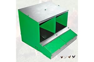 IKLOB® Nido per galline ovaiole a 2 posti, più grande e con un cesto più capiente per le uova di gallina, molto resistente alle condizioni esterne.,nido galline