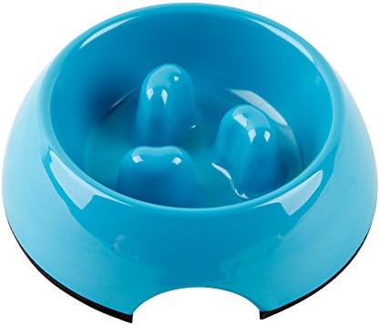 Durable Anti-Gulp Non-skid Slow Feed Pet Bowl, Healthy Design Bowl for Dog and Cat (S, Blue)