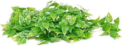 Happy Pet Products Komodo Philodendron Artificial Plant (60cm) (Green)