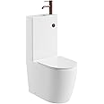 Go Bathrooms 2 in 1 Toilet & Sink Includes Bronze Cistern Button & Soft Close Toilet Seat Two Piece Ceramic Rimless Toilet & Basin Space Saver