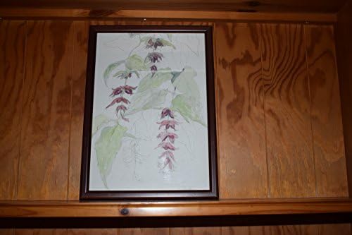 Original Painting Floral - Himalyan Honeysuckle (Pheasant Berry).