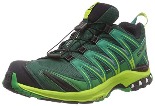 Salomon Xa Pro 3d Gtx Zapatillas de Running Hombre, Multicolor (Rainforest/Lime Green/Fern Green), 43 1/3 EU