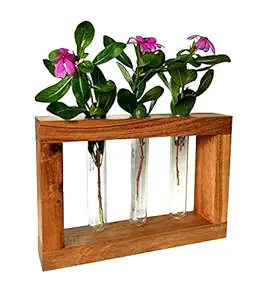 Kraftyhome Wooden vase with 3 Glass Tube | Test Tube Planter Modern Flower Bud Vase with Wood Stand | Tabletop Glass Terrarium for Propagating Hydroponics Plants - 10 inch 3T