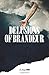 Delusions of Brandeur by 