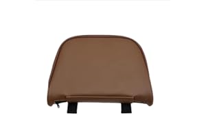 TONGYAOYAO Portapacchi Passeggero Schienale Cuscino per Moto Compatibile con GTS300 GTV GTS 300 Primavera Sprint 150 Schienale Cuscino Pad (Marrone)