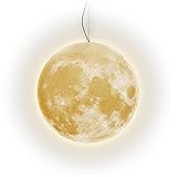 Hergestellt aus abbaubarem und umweltfreundlichem PLA-Material, ist es ungiftig und geschmacksneutral.