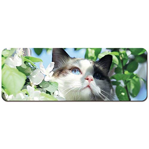 Preisvergleich Produktbild LUXUEQI Gaming Mauspad / Mousepad / spezielle Oberfläche verbessert Geschwindigkeit und Präzision / Fransenfreie Ränder / Rutschfest / 800 * 300 * 3mm