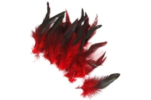WYJUAN Bunte Hahnschwanzfedern, 50 Stück, 25,4–30,5 cm, natürliche lange Hahnschwanzfedern, Großpackung, rot, Handwerk, Malerei und Handwerk, Kunst und Handwerk (rot)