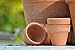 Produktbild 10L Terracotta Imprägnierung Naturstein, Sandstein, Terrakotta Imprägnieren Pflege für Pflanzkübel, Pflanzengefäße, Übertöpfe, Tontöpfe, Pflanztöpfe