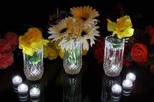 PK Green 10 Luces LED a prueba de agua, sumergibles - blanco