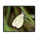 Produktbild Nature Art Mousepad Unique Custom Rectangle Mouse Pad Funny Cute Gaming Butterfly and Insect Decor Mat Nectar Newest24