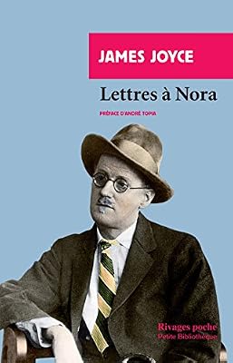 Lettres à Nora