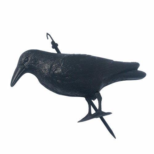 TIFANTI Crow Scarecrow - Repelente de Aves - Control de Plagas al Aire Libre