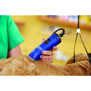 Andis Power Groom+ 5-Speed Detachable Blade Clipper, Professional Animal Grooming, Blue, AGRV (63360) - Image 5