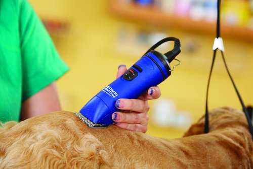 Andis Power Groom+ 5-Speed Detachable Blade Clipper, Professional Animal Grooming, Blue, AGRV (63360) - Image 5