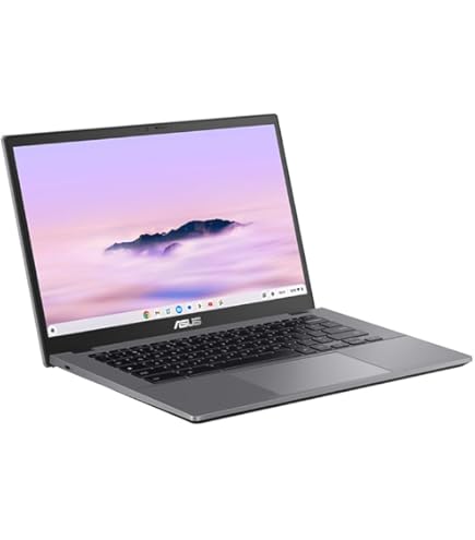 ASUS Touchscreen Chromebook Flip C214MA 11.6 Inch Laptop