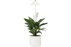 ‎PARUS BY VENSO Parus by Venso SUNLiTE 7W LED Vollspektrum Pflanzenlampe Weiß, Indoor Plants Pflanzen Beleuchtung, mit ausziehbarem Teleskopstab, Parus Pflanzenlampe für kleine und mittelgroße Zimmerpflanzen