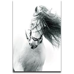 Póster decorativo para pared, diseño de caballo negro y blanco de SunYueY 50*70cm