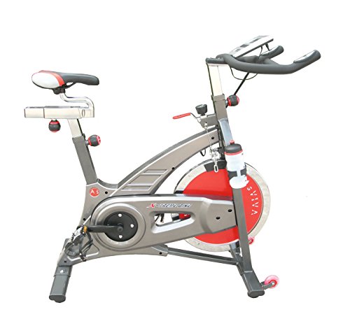 AsVIVA S7 Indoor Cycle Cardio VII Speedbike mit 18kg Schwungscheibe, Filzbremsen und Riemenantireb, inkl. Multifunktionscomputer, sowie Getränkehalter und Trinkflasche