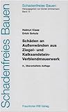 Image de Schadenfreies Bauen, Band 13: Schäden an Außenwänden aus Ziegel- und Kalksandsteinverbl